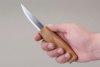 BeaverCraft Slöjdkniv C4M
