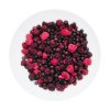 LyoFood | Wild berry mix | Frystorkad mat | 30g