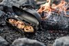 Petromax Cast-iron Potato Cooker