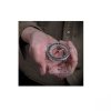 SOL Map Compass