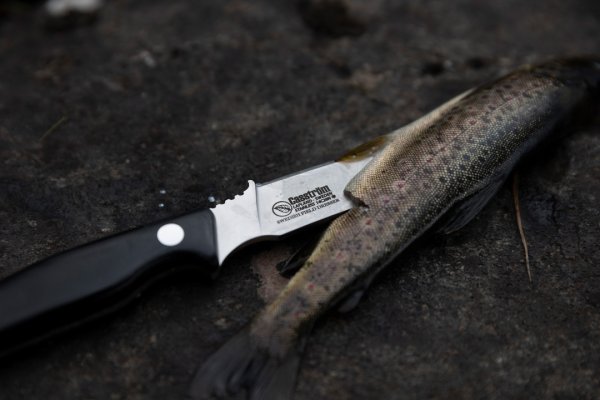 Casström Swedish Field Dresser, Stabiliserad Masurbjörk, Kydex